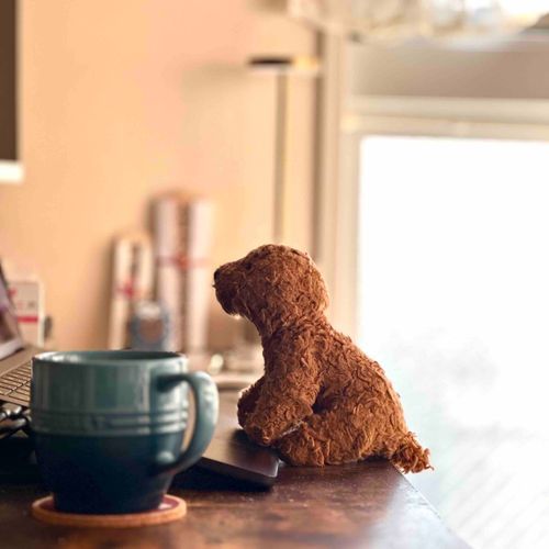 さいきんは　めめたんもおしごとにかりだされてるわん🐶

わんわーん
りょこうにいきたいわんー🐶

（文責:めめたん）