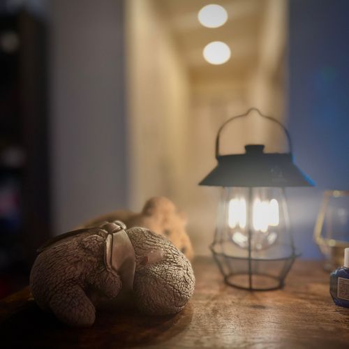 しゃちょう、きゃんぷにいくよていもないのに、らんたんかった！
つかれてるのかな🦛

まぶしーい

（文責:ひぽたん）