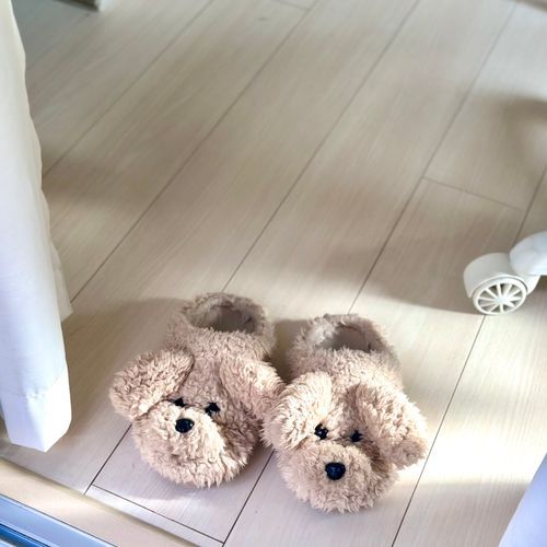 ベランダにでているしゃちょうをじっとまっている🐶

（文責:しゃちょう）