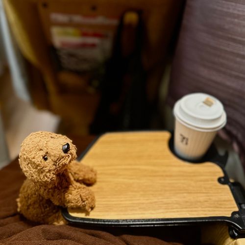 「🚌やこうばす」に乗ってるわん
しゃちょはこーひーのみすぎわん
めめたんはさーびすえりあのへんなじはんきがたのしみだわん！

（文責: めめたん