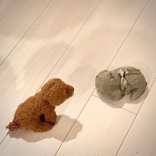 雨が多い期間、
よく開かれる古参の会合

なにをはなしているのかな

（文責: しゃちょう
