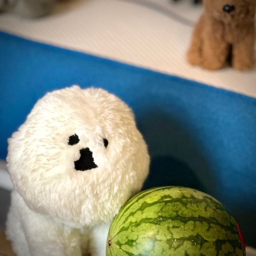 すいかにご満悦なけんしんの背後から
めめたんが狙っているようだ

どうする？

▷たたかう
　にげる
　まほう
　しゃちょうにきりわけてもらう