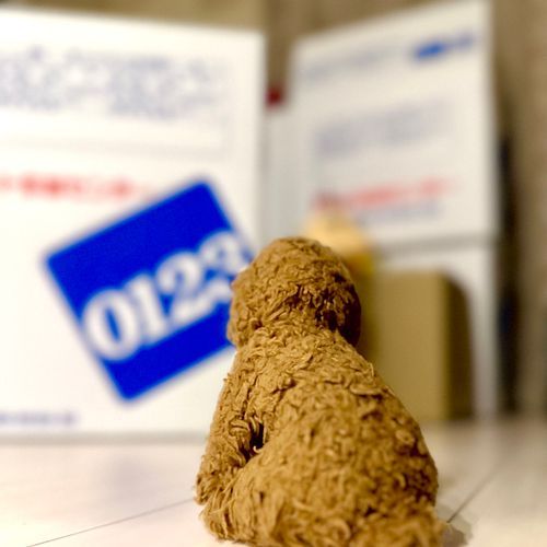 おうちのものが
どんどんおっきなはこにつめられていっちゃうわん
ぼくのおもちゃもしまわれたわん

しょんぼり

（文責: めめたん