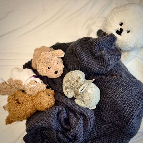 ぬぎたてのふくと
もこもこのふくは
みんなのねどこ

（しゃちょうのかれいしゅうが、する！）

（文責: ひぽたん