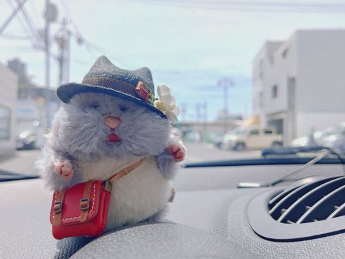 𝙻𝚎𝚝'𝚜 𝚐𝚘〜！