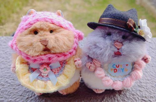 きなこちゃんのおうちのかたからプレゼントもらったよ🎁ありがとう