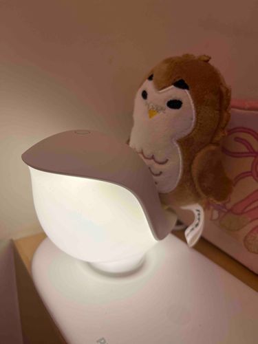 おやすみ🌙