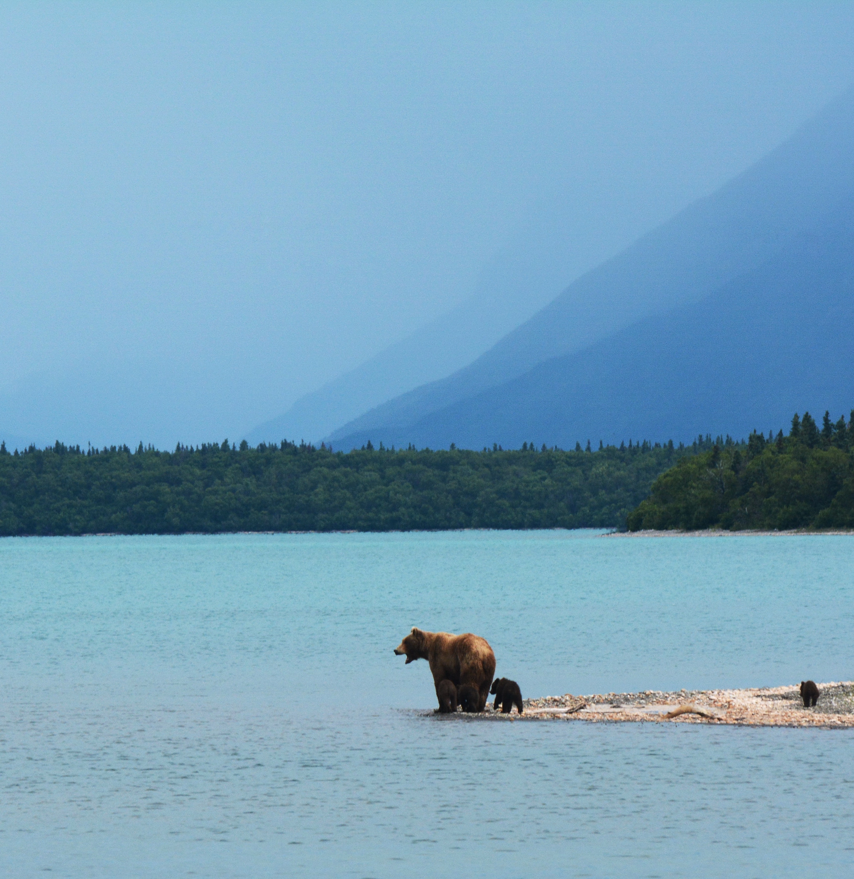 Alaska destination image