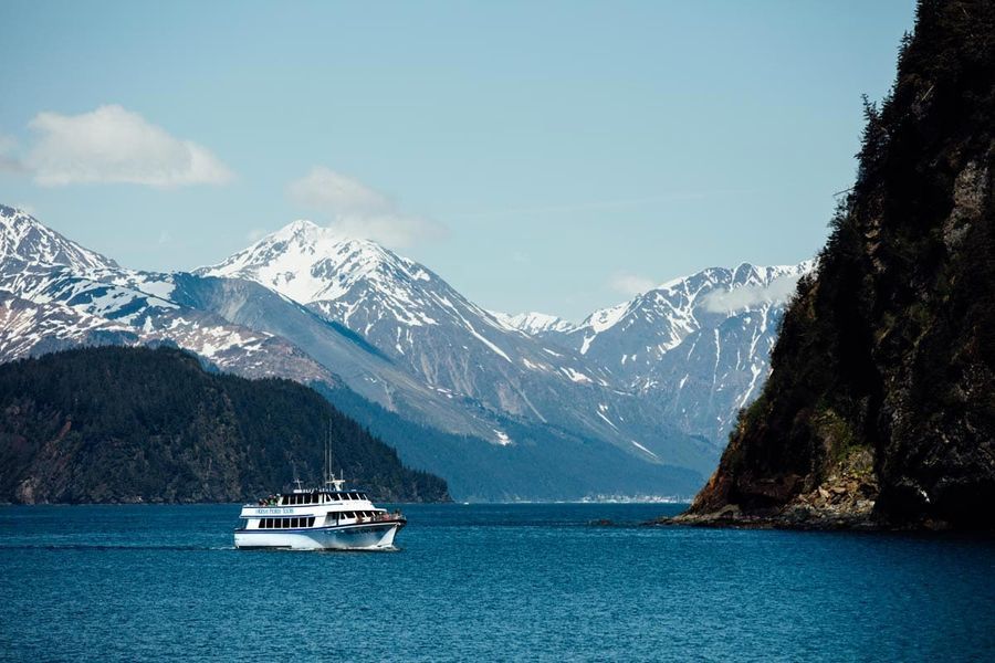 Kenai Fjords Cruise in undefined region of undefined