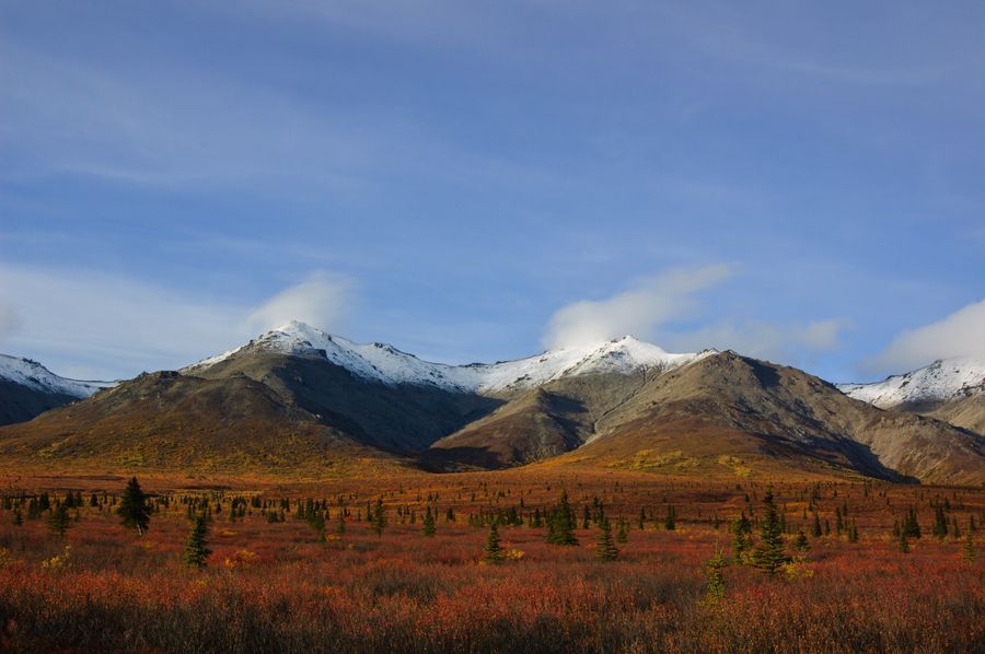 Denali National Park in undefined region of undefined