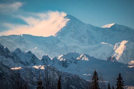 Denali National Park activity image