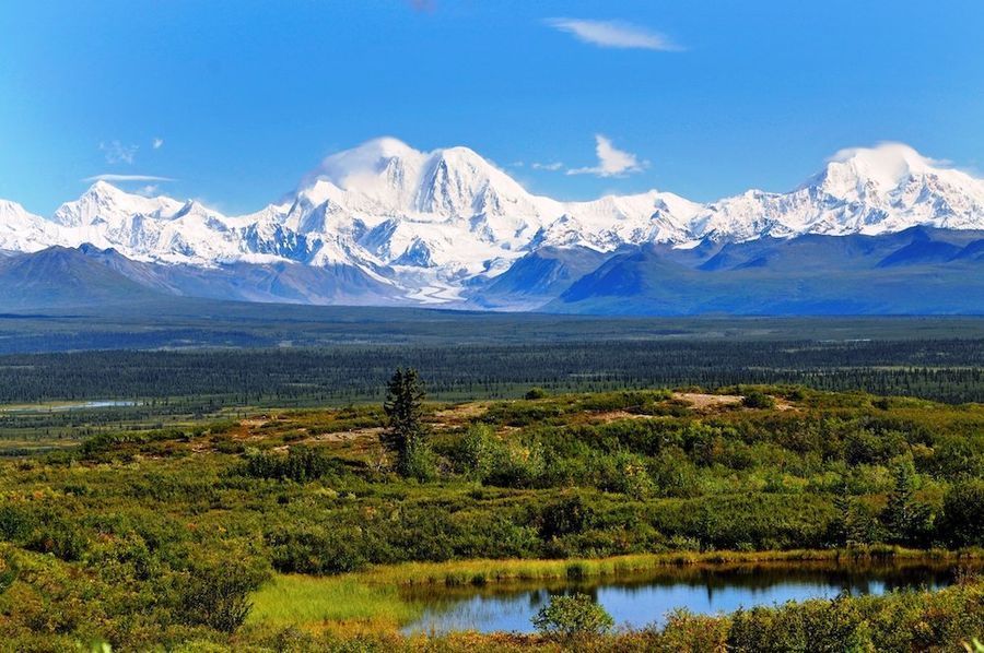 Denali Jeep Tour in undefined region of undefined