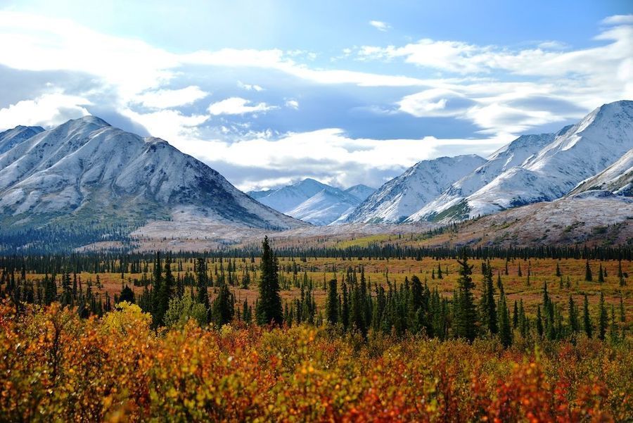 Denali Jeep Tour in undefined region of undefined