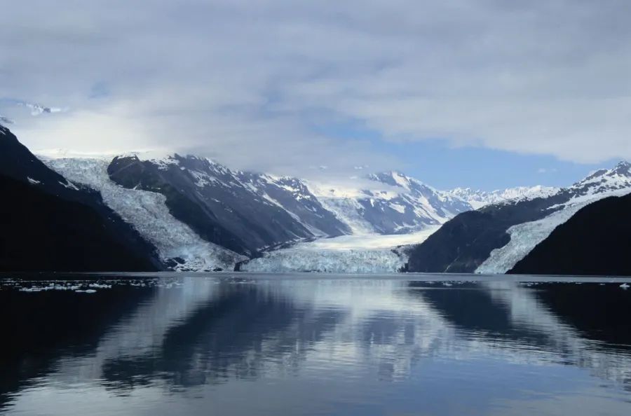 Kenai Fjords Cruise in undefined region of undefined