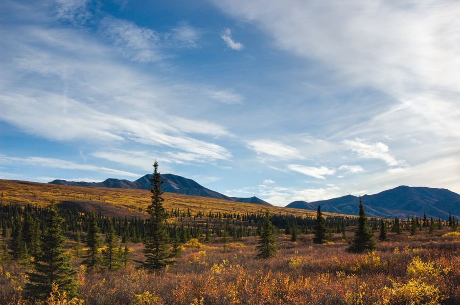 Denali National Park in undefined region of undefined