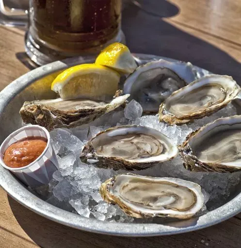 Kachemak Oyster Bar in Homer region of Alaska