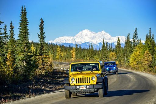 Denali Jeep Tour activity image