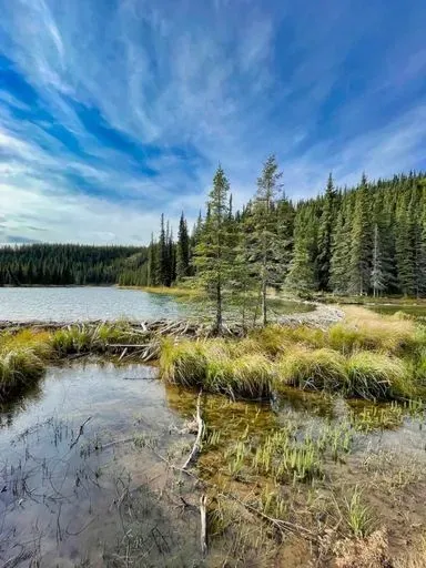 Horseshoe Lake Trail preview image