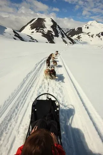Glacier Dog Sledding in Anchorage region of Alaska