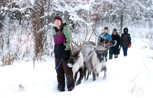 Running Reindeer Ranch in Fairbanks region of Alaska