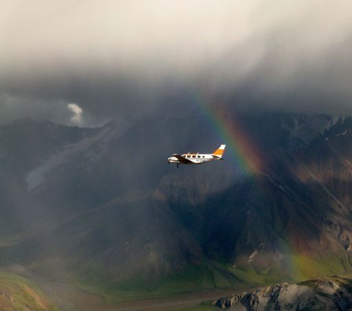 Denali Flightseeing activity image