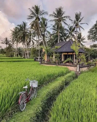 "Eat Pray Love" Villa in Ubud region of Bali