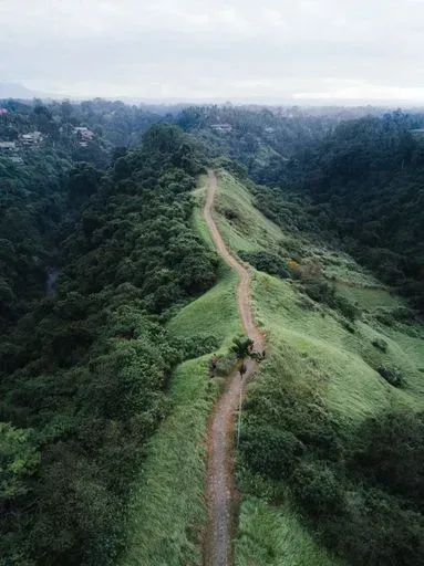 Campuhan Ridge Walk in Ubud region of Bali