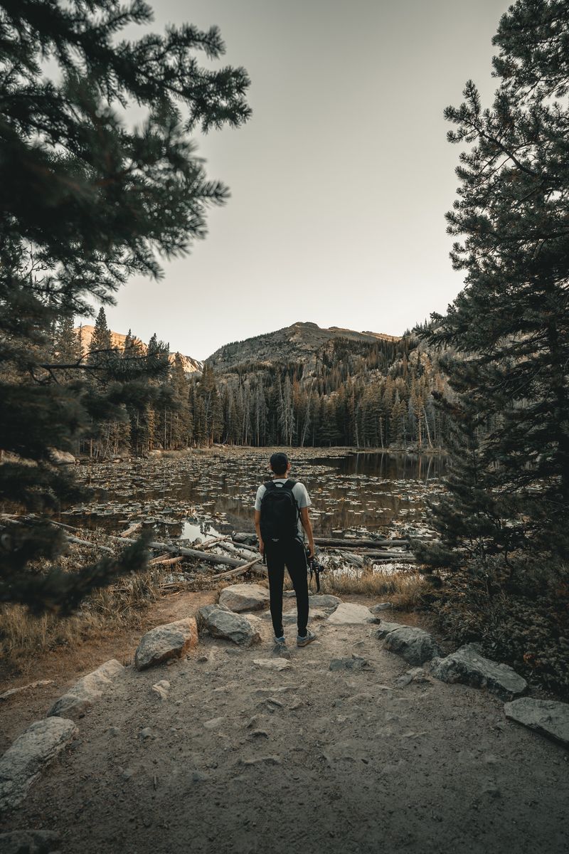 Emerald Lake Trail in undefined region of undefined