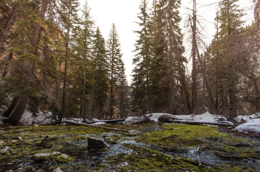 Hanging Lake Trail in undefined region of undefined