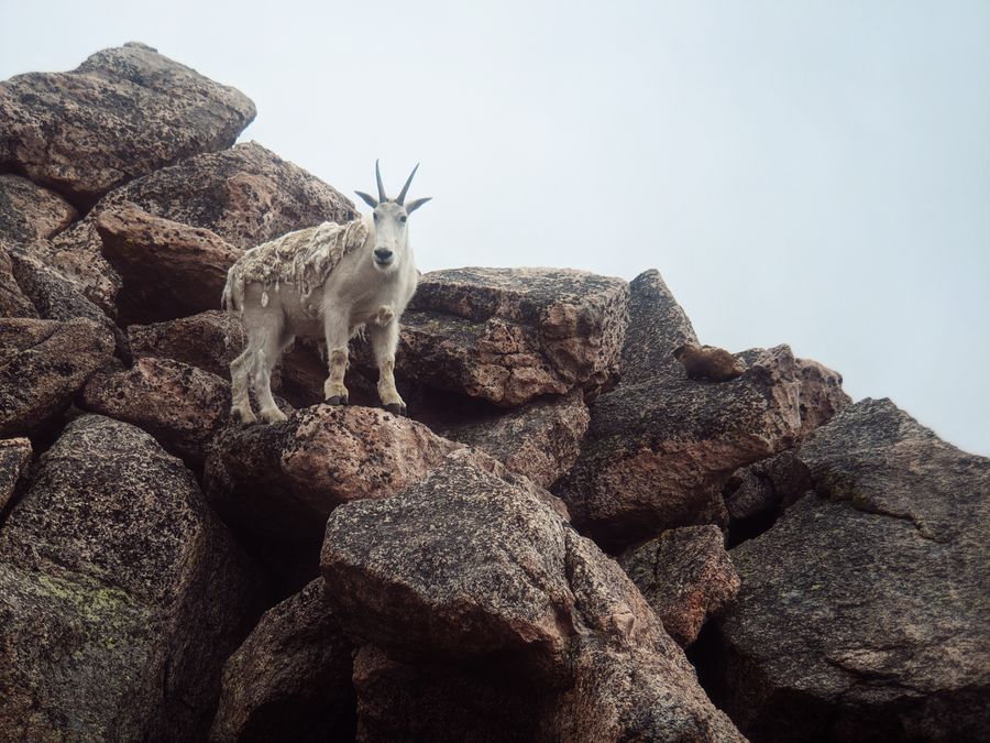 Mount Evans in undefined region of undefined