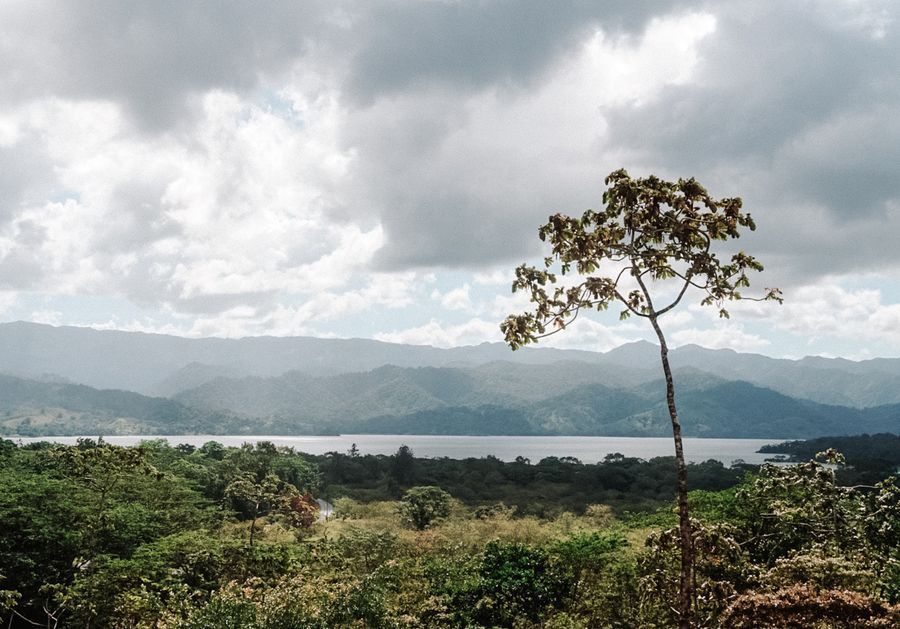 Arenal 1968 Volcano Trail in undefined region of undefined