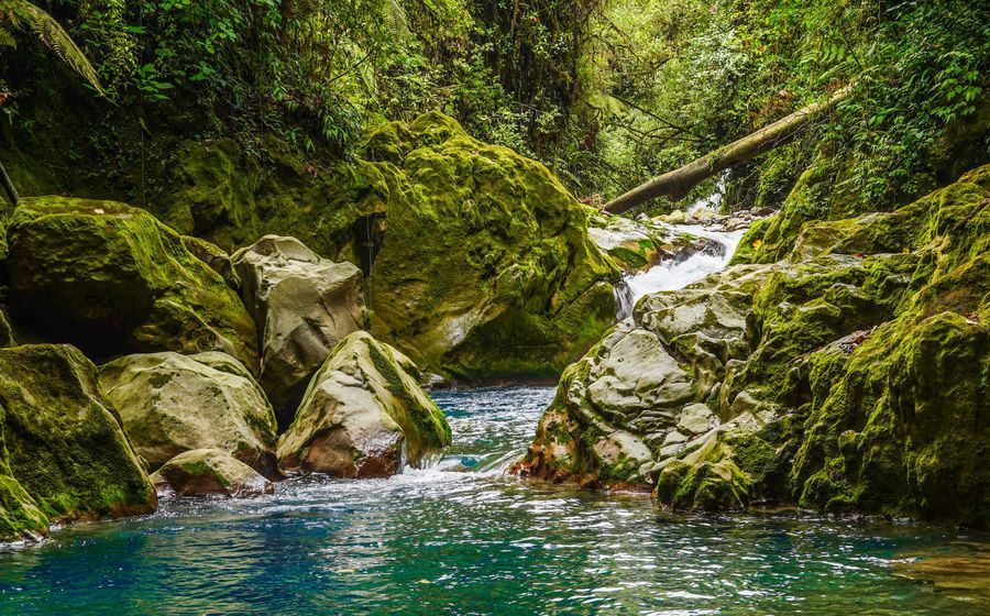 Catarata del Toro & Blue Falls in undefined region of undefined