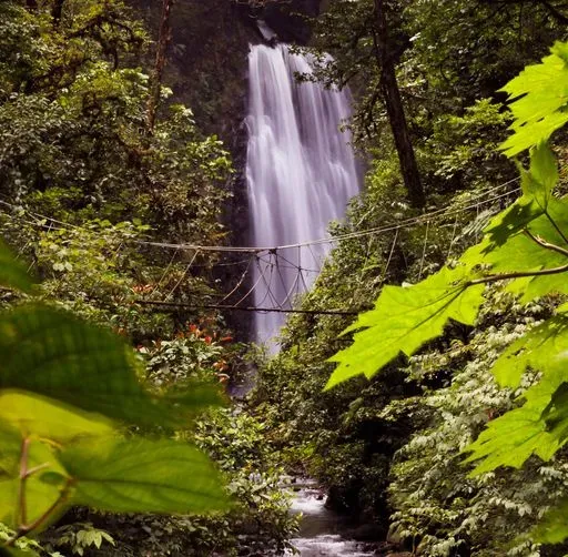 El Tigre Waterfalls in Monteverde region of Costa Rica