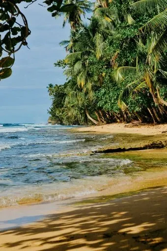 Playa Manzanillo preview image