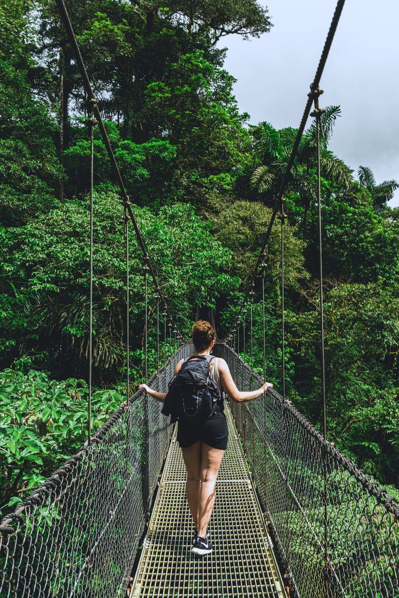 Mistico Hanging Bridges Park in undefined region of undefined