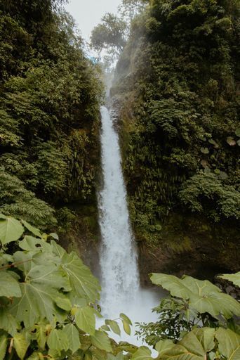 La Paz Waterfall Gardens activity image