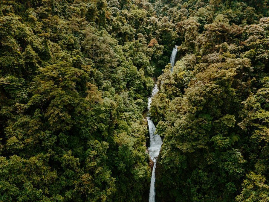 La Paz Waterfall Gardens in undefined region of undefined