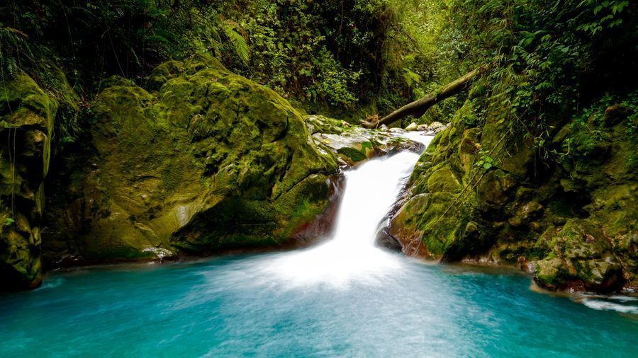 Catarata del Toro & Blue Falls in undefined region of undefined