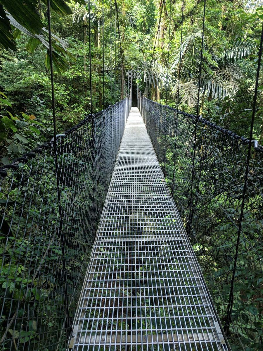 Mistico Hanging Bridges Park in undefined region of undefined