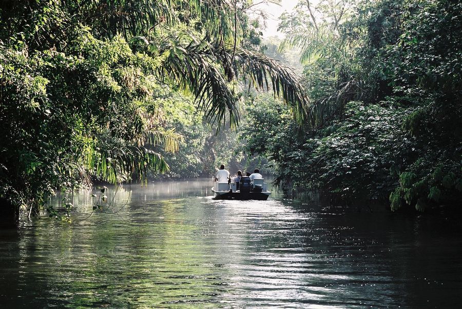 Tortuguero Village in undefined region of undefined