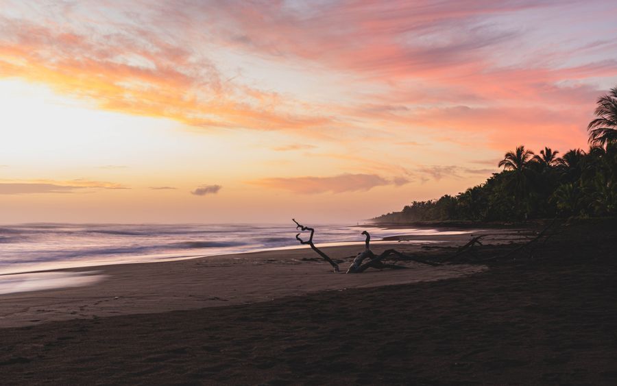 Tortuguero Boat Tour in undefined region of undefined