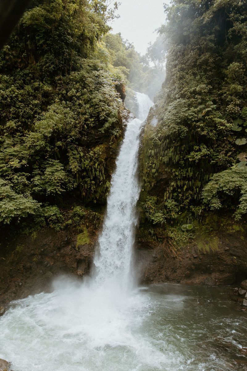 La Paz Waterfall Gardens in undefined region of undefined