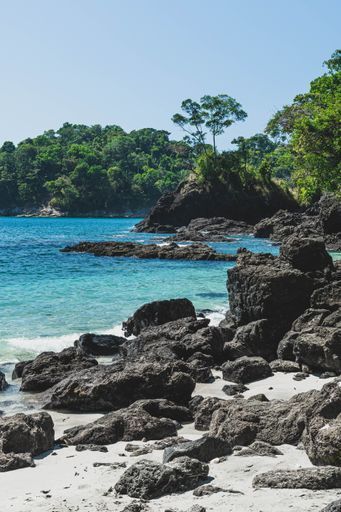 Manuel Antonio Beach activity image