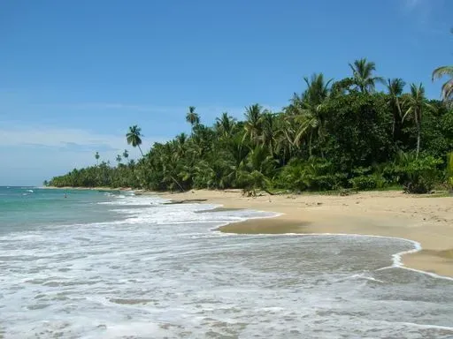 Playa Punta Uva in Puerto Viejo region of Costa Rica