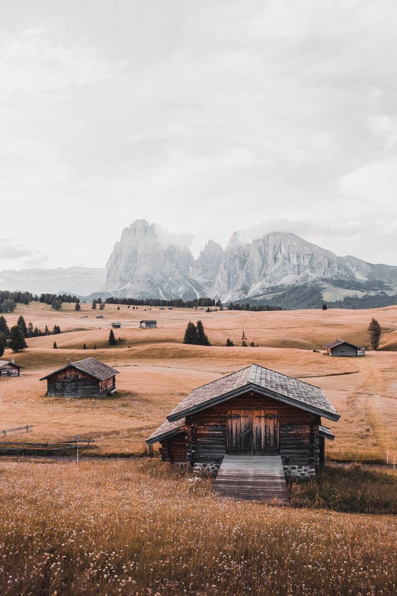 Alpe di Siusi in undefined region of undefined