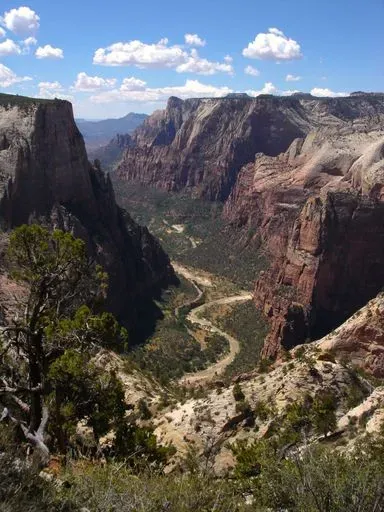 Observation Point Trail preview image