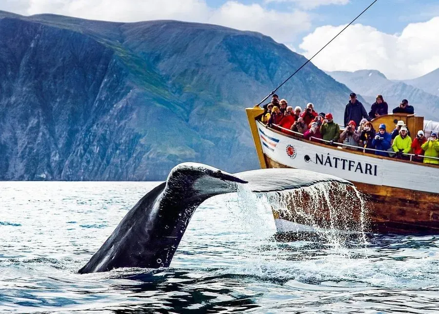 Whale Watching from Húsavík, Northeast, Iceland · view 2