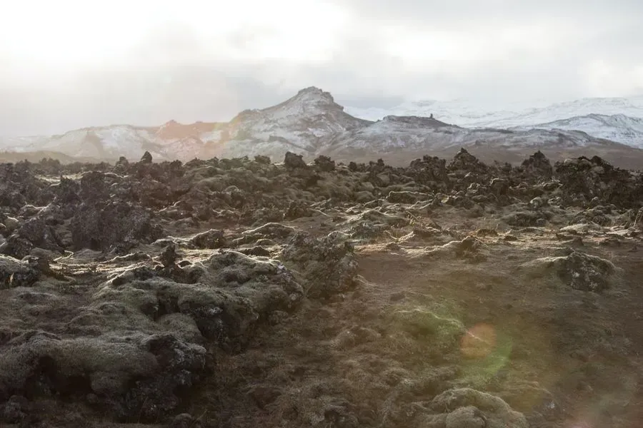 Eldhraun Lava Field, South Coast, Iceland · view 2