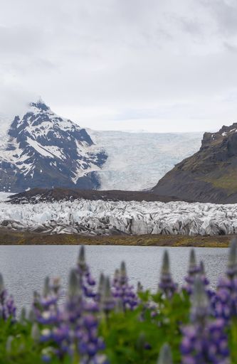 Svínafellsjökull Glacier activity image