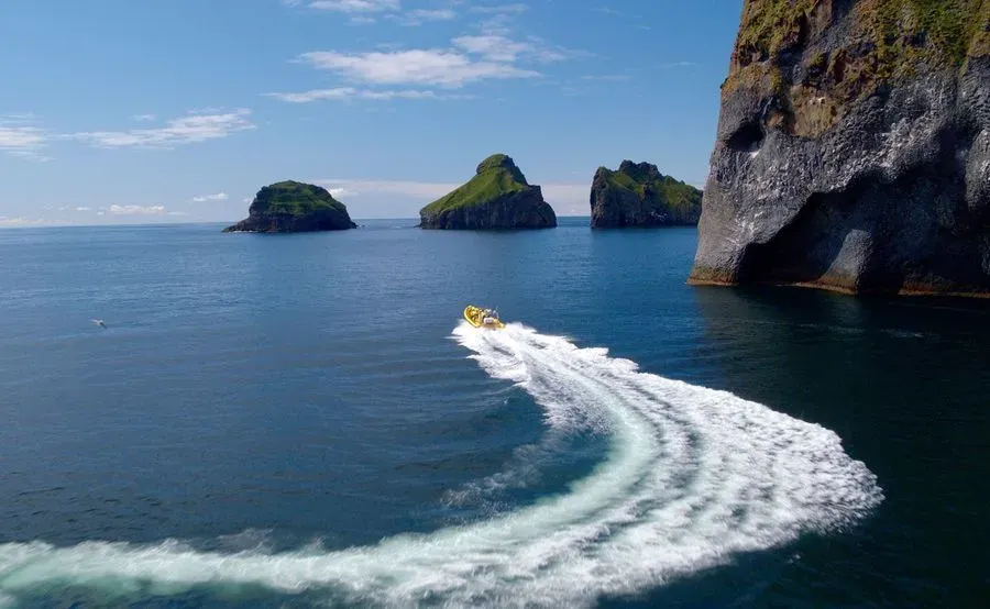 Westman Islands RIB Safari in Iceland